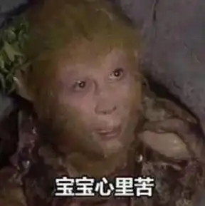 泰山陨石坠表情包大话西