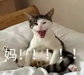  给你妈发微信不回,你就甩这些表情包过去