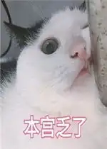  乐游网单机游戏