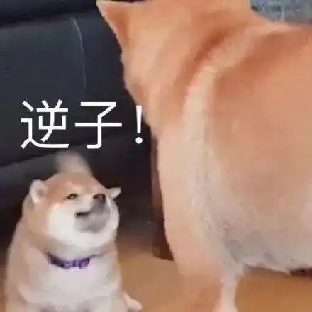  把旧手机给父母用,就是不孝