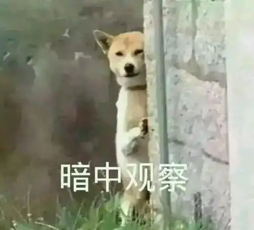  50多部手机一夜被盗,十堰男子想了一招,当街把蟊贼逮住了