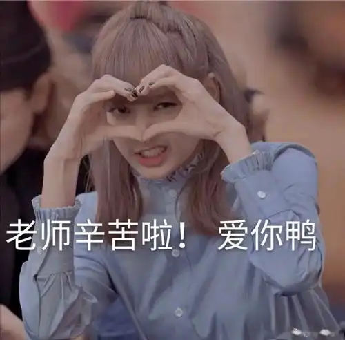  lisa交作业表情包壁纸头像