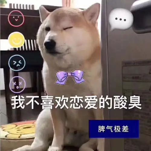 单身狗证表情包熬夜