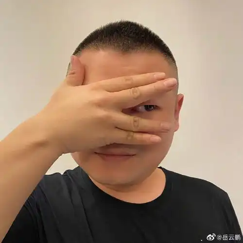  表情包更新岳云鹏cos微信新表情超逼真