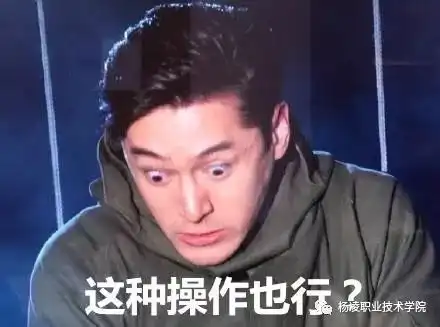  当年度热词碰撞杨职院