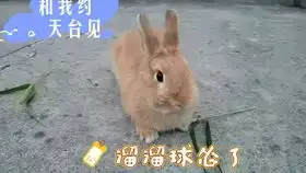  听到口哨声的小白兔奶糖