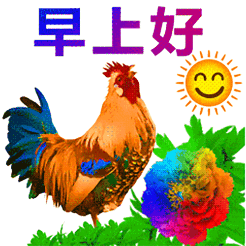  2020最新早上好祝福语动态表情图片鲜花带字,早安暖心问候短信