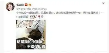  网红猫楼楼去世了,还能不能用它的表情包了