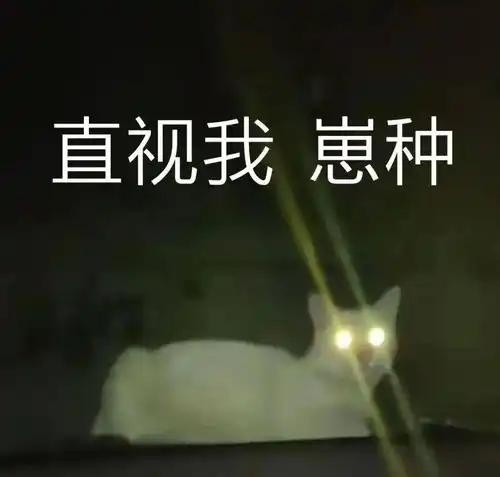 微信表情包盈利赵汉唐