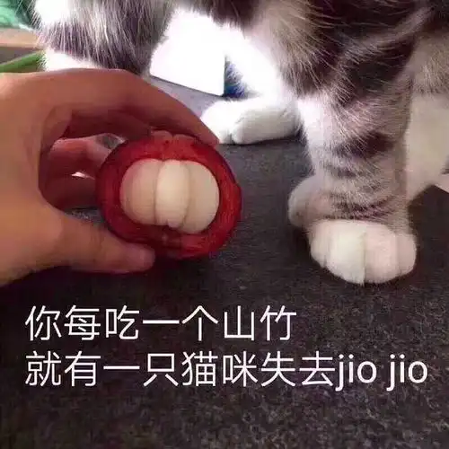  如何撩喜欢的小哥哥qaq