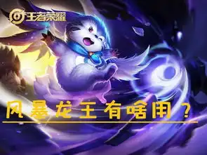  王者荣耀风暴龙王是挂件,游戏均13分钟结束,甄姬成新大哥