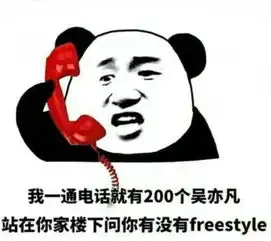  freestyle什么梗表情包