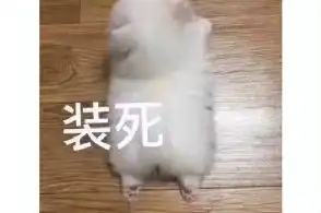 17173游戏网的主页
