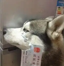  趣图cto在公司群发红包,二货发错了表情