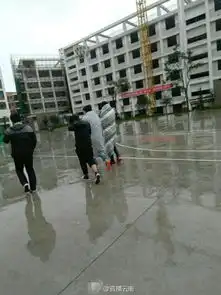  社会新闻