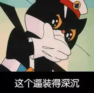 很火的一个黑猫表情包