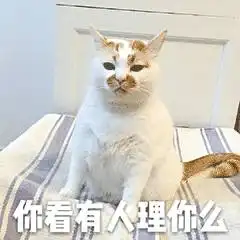  表情网红猫楼楼动态表情