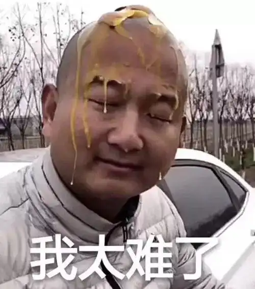 太难了表情包小女孩鲍毓