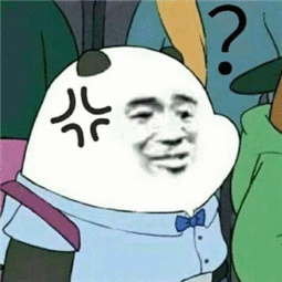  这张图片里的熊叫什么啊