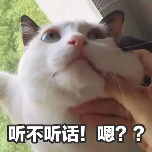  揪心渠县一少年下河游泳被困激流,紧急关头