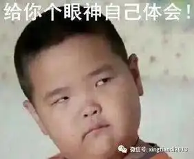  鲁豫都叫鲁小胖了贵圈对胖是产生了什么误解吗