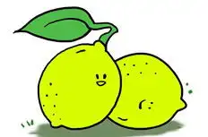  树枝上的水蜜桃简笔画
