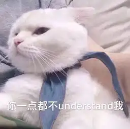 歪嘴猫表情包