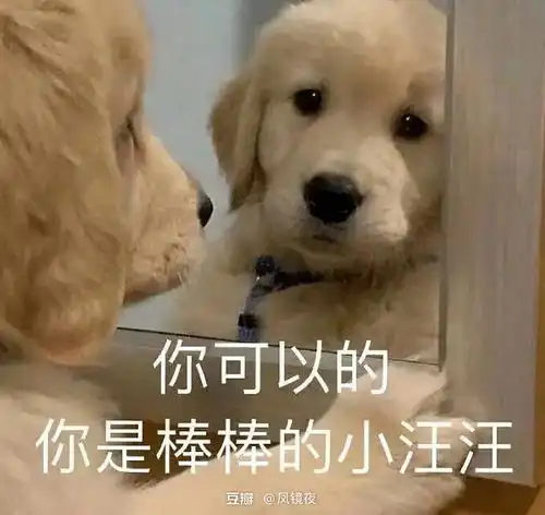  回农村老家了