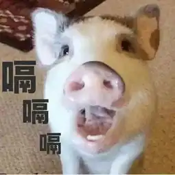 哈哈哈哈嗝文字表情包闭