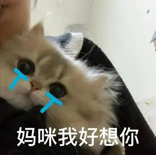  需要爸爸妈妈系列表情包