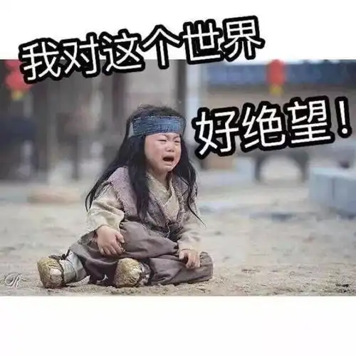  来了一位服务员,打开了我们房间所有的窗户