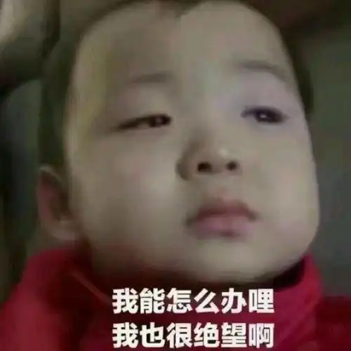 想干你表情包宋民国