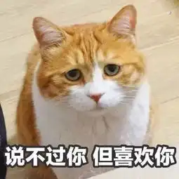 可爱猫咪表情包斗图专用