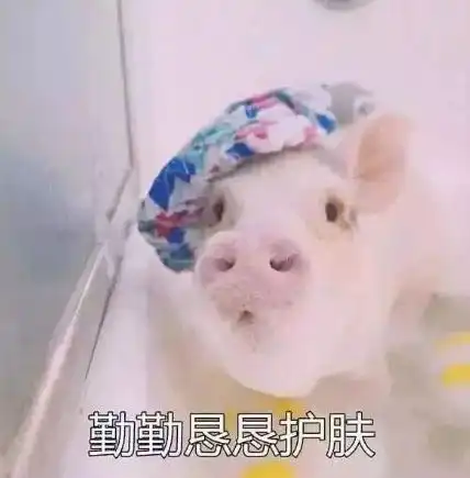 深夜吃不胖表情包猪猪