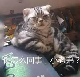  甘肃这个碰瓷男厉害了,你们被他骗过吗