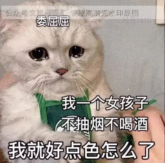  委屈屈我一个女孩子不抽烟不喝酒我就好点色怎么了猫猫图片表情包动态