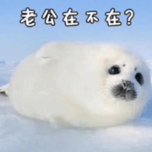 微信举手表情包qq表情