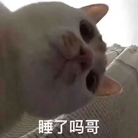  我的收藏
