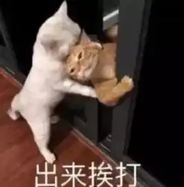  学科拿什么拯救你的语文你见过哪些奇葩的文言文翻译