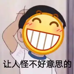 igtheshy表情包小子