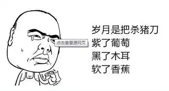  你2016都做了啥