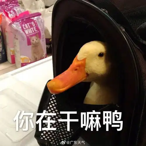  广东预警实况
