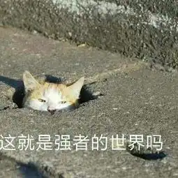  找寻灵感区