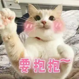 一起跳舞表情包猫咪