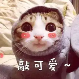  表情包你爱我吗,不会我教