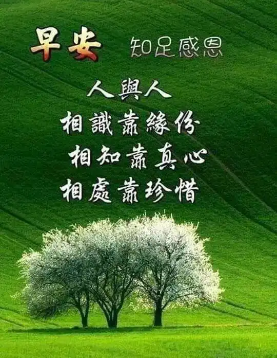  温馨最新早安短信祝福语,初夏早上好动态图片祝福表情包图片