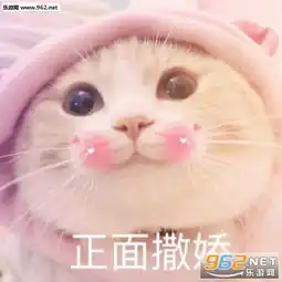  你是不是玩不起表情包猫找我聊天要收费了表情包下载乐游网游戏下载