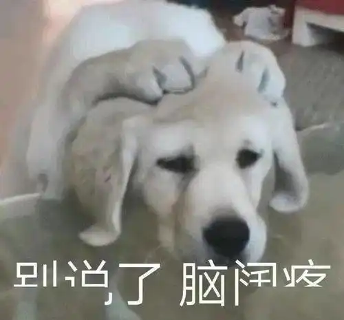  领证领一半,民政局竟然停电了,电力局这场姻缘我不同意哈哈哈哈哈哈