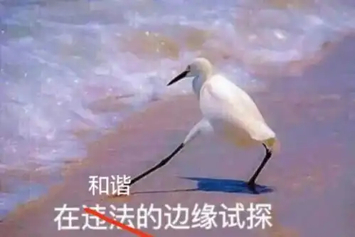  年度表情包汇总你想要的表情包都在这
