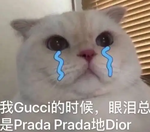 bao料gucci都出泡面了,lv的螺狮粉还会远吗